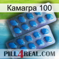 Камагра 100 viagra2